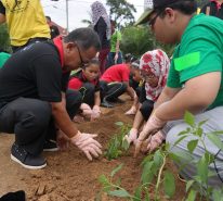 Aktiviti penanaman sayur-sayuran diusahakan bersama-sama oleh kakitangan Ajinomoto Malaysia, pelajar UPM dan kanak-kanak Orang Asli dari Sek. Keb. Penderas.